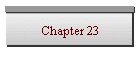 Chapter 23