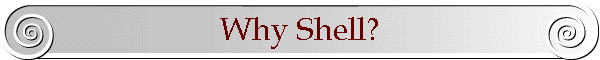 Why Shell?