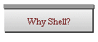 Why Shell?