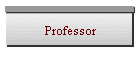 Professor