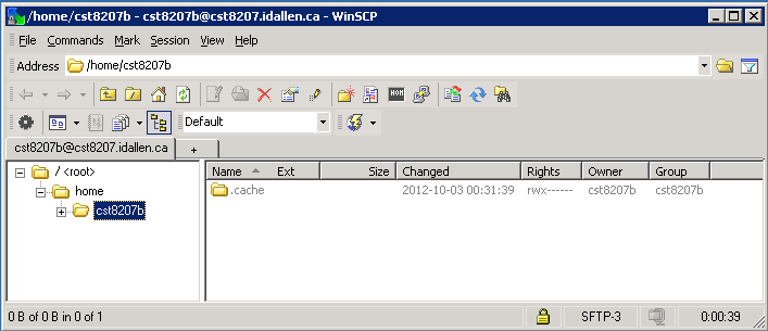 WinSCP Image