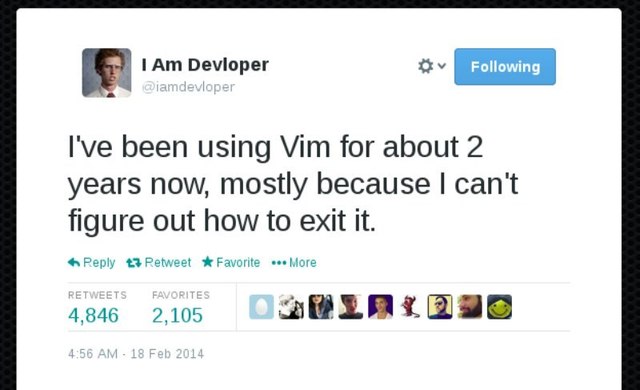 VIM User