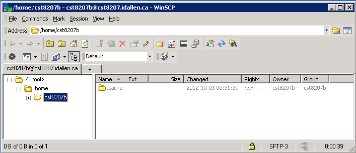 WinSCP Connection