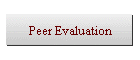 Peer Evaluation