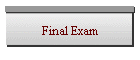 Final Exam