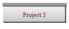 Project 3